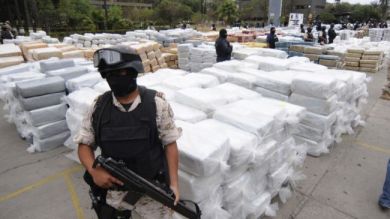 345503_Mexico-drugs-seized